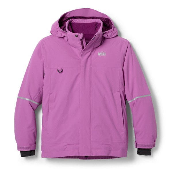 Product Image of color Purple Aster