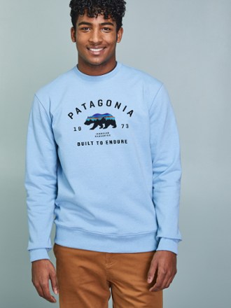 patagonia fitz roy bear hoodie