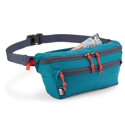 REI Co-op Trail 2 Waist Pack | REI Co-op
