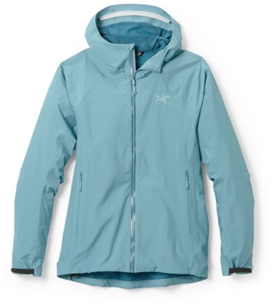 Arc'teryx Kadin Hoodie - Men's | REI Co-op