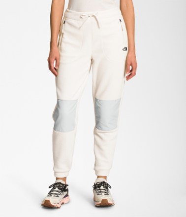 The North Face Alpine Polartec 200 Pants - Women's 0