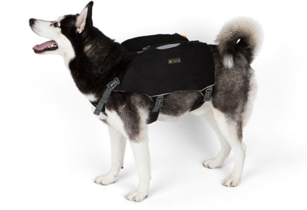 OllyDog Rover Dog Pack 2