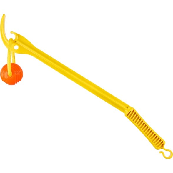 Product Image of color Yellow