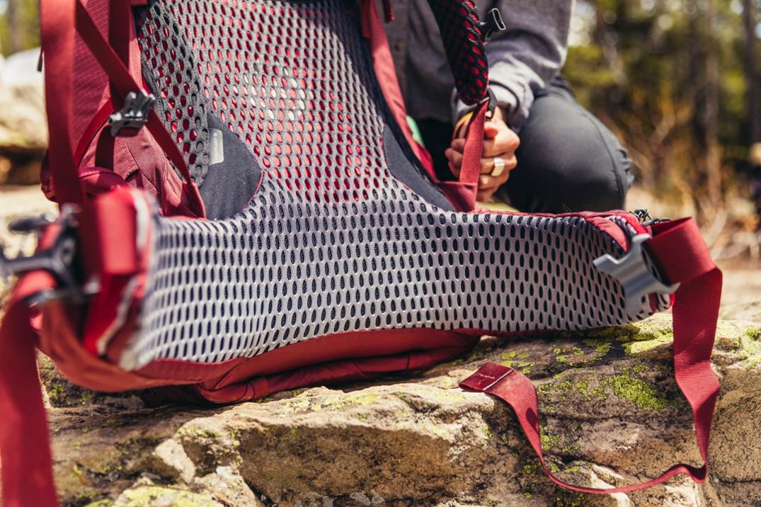 Location Image for Kalmia 50 Pack - Closeout - Women's