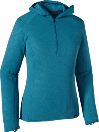 patagonia capilene thermal weight zip hoodie