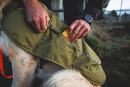 Ruffwear Overcoat Fuse Vest 9