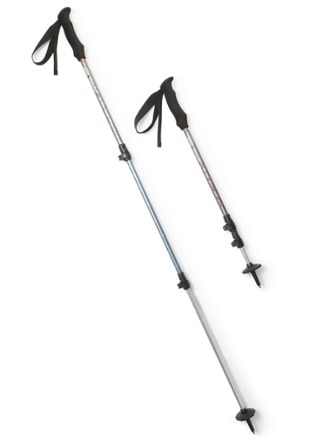 REI Co-op Trailbreak Print Trekking Poles - Pair