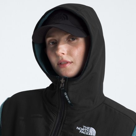 The North Face Retro Denali Hoodie - Women's 5