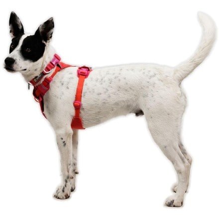 Ruffwear Front Range Flex Harness 6
