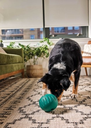 Woof Walkabout Dog Toy 3