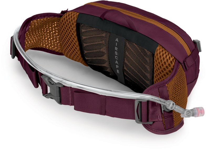 Detail Image of color Aprium Purple