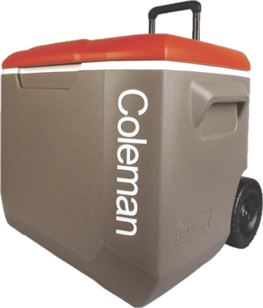 rei coleman cooler