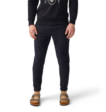 Mountain Hardwear Microchill Joggers - Men's 1