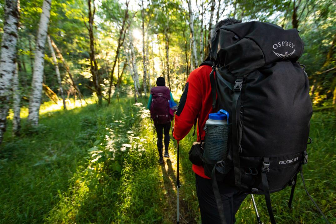 Location Image for Rook 50 Pack - Men's