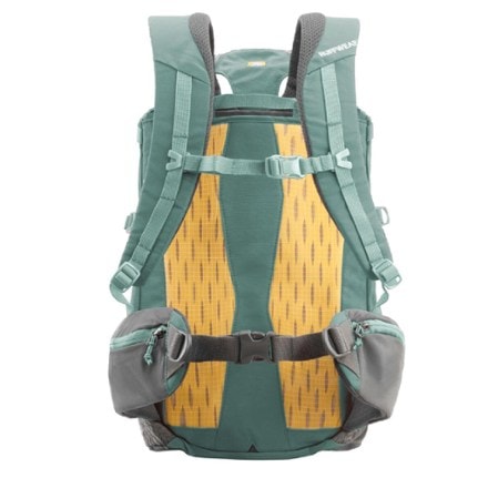 Ruffwear Hitch Hiker Dog Pack Carrier 1