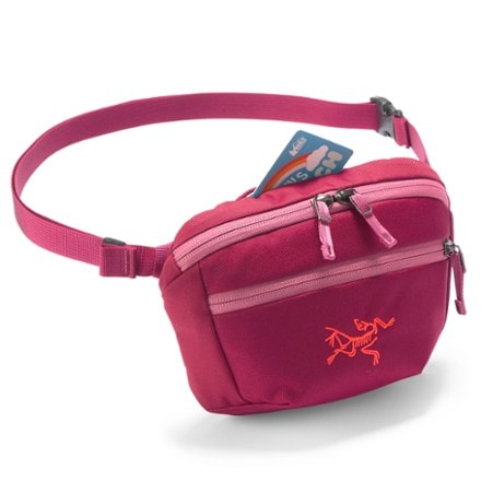 Arc'teryx Mantis 1 Waistpack 6