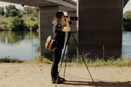 Location Image of color Coyote
