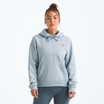The North Face All Day Beauty Regular Hoodie - Women's 0