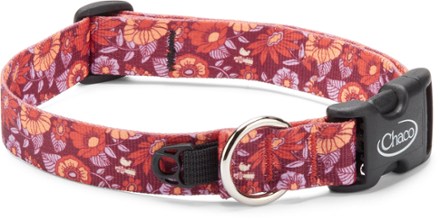 chaco dog collar