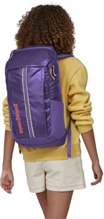 Patagonia Black Hole 25L Travel Pack 1