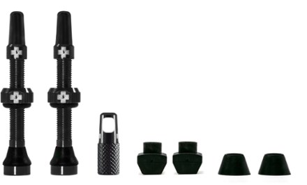 presta tubeless valve