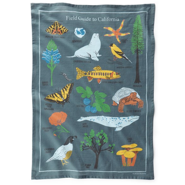 Product Image of color Field Guide