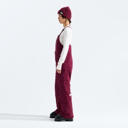 The North Face Freedom Insulated Bib Snow Pants - Women's 3