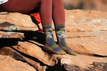 Darn Tough Trailblazer Lightweight Micro Crew Socks - Women's 2