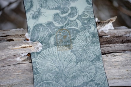 NICHE Sonnet Snowboard - Women's 6