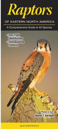 Quick Reference Publishing Raptors of Eastern North America 0