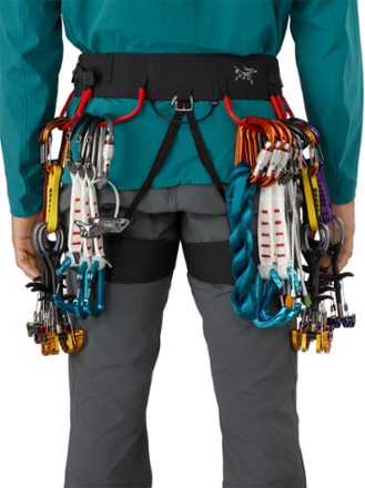 Arc'teryx C-Quence Harness - Men's 6