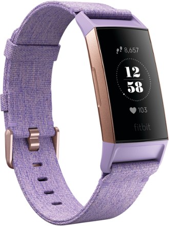 fitbit ionic rei