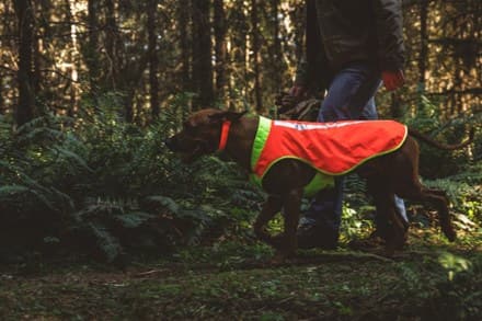 Ruffwear Lumenglow High-Vis Dog Vest 8