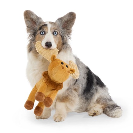 National Park Plush Dog Toy