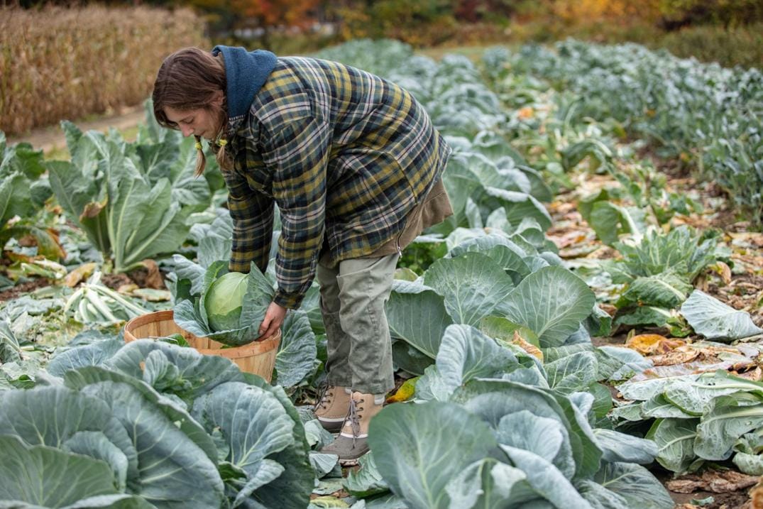 Location Image for Originals Leather Lace-Up Duck Boots - Women's