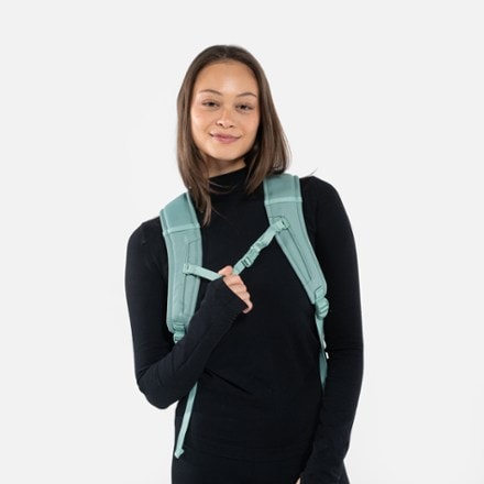 Sherpani Crew Travel Pack 3