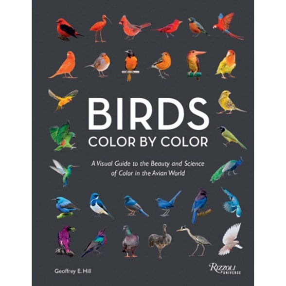 Product Image of color