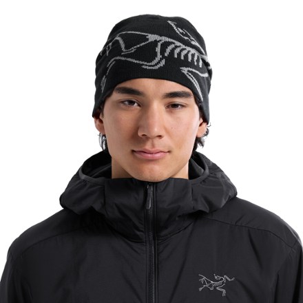 Arc'teryx Lightweight Bird Head Toque | REI Co-op