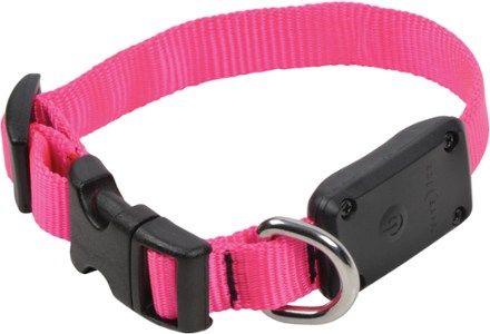 nite ize nite dawg led dog collar