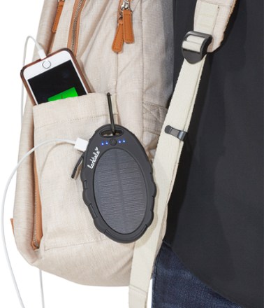 Larktale Solar Charger REI Coop