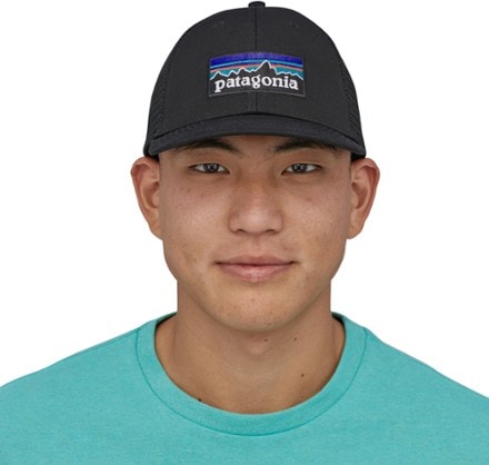 Patagonia P-6 Logo LoPro Trucker Hat 3