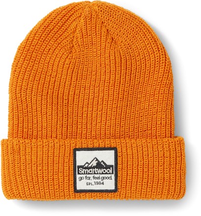 Smartwool Kids Hats and Headwear REI Co op