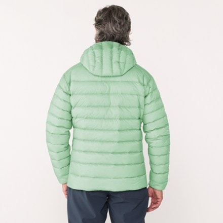 Arc'teryx Cerium Down Hoody - Men's 2