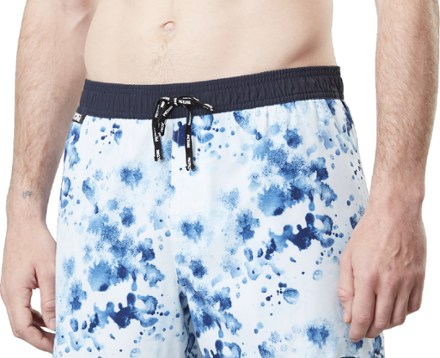 Picture Organic Clothing Piau 15 Board Shorts - Men's 5