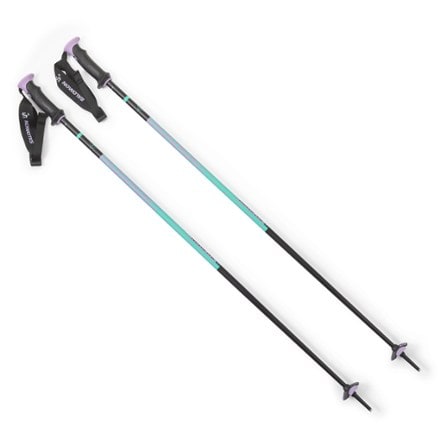 Salomon Polar Pro S3 Ski Poles - Pair 0