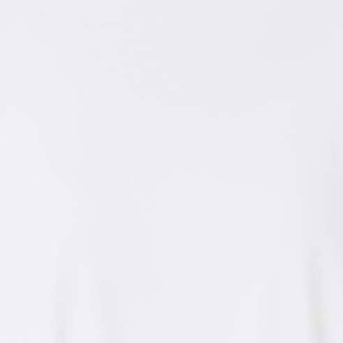 Swatch Image of color Morning Frost