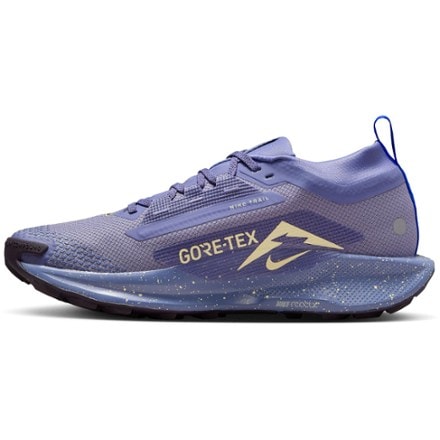Nike Pegasus Trail 5 GORE-TEX Trail-Running Shoes - Women's 1