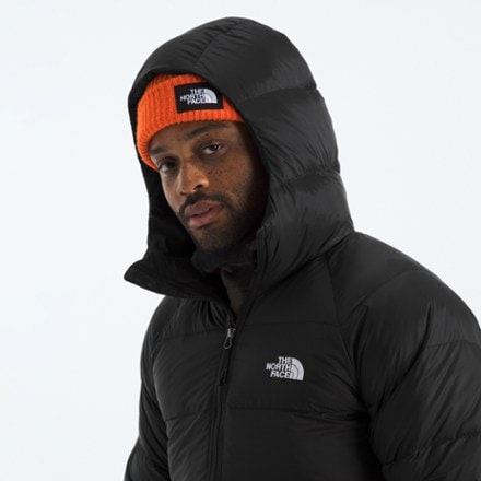 The North Face Hydrenalite Hooded Down Parka - Men's 4