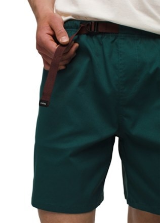 prAna Stretch Zion Pull-On Shorts - Men's 4