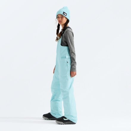 The North Face Freedom Insulated Bib Snow Pants 3